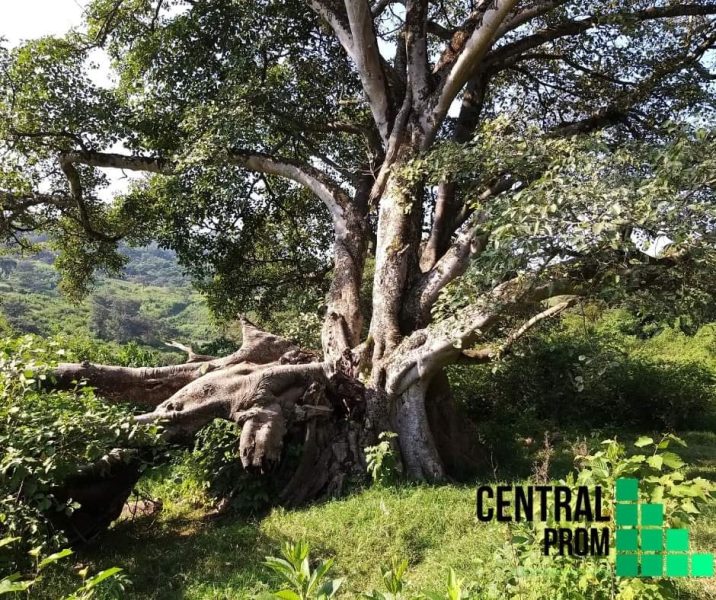 TERRENO EN VENTA - Ferrerías de Providencia, Jalisco.