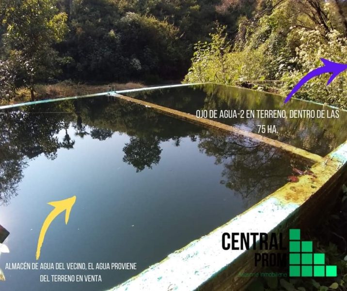 TERRENO EN VENTA - Ferrerías de Providencia, Jalisco.