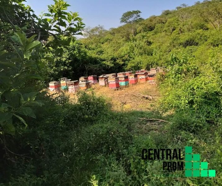 TERRENO EN VENTA - Ferrerías de Providencia, Jalisco.