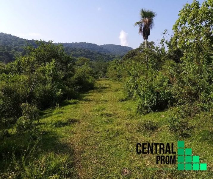 TERRENO EN VENTA - Ferrerías de Providencia, Jalisco.