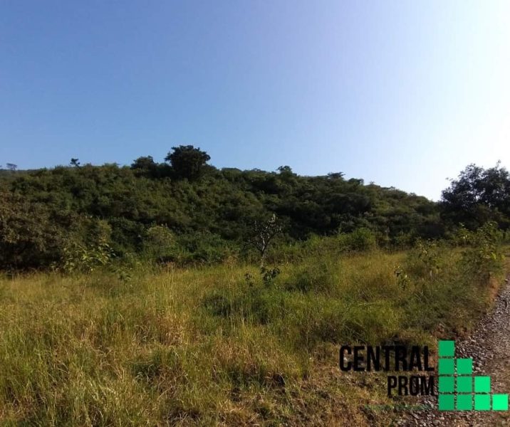 TERRENO EN VENTA - Ferrerías de Providencia, Jalisco.