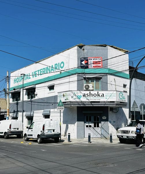 LOCAL EN VENTA- SANTA TERE- GDL